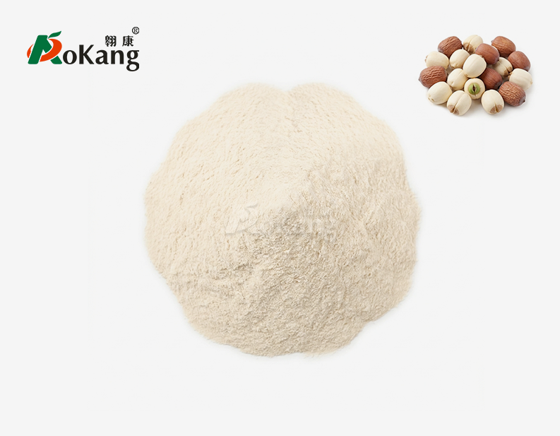 Bulk Lotus Seed Powder